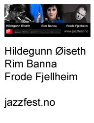 Hildegunn Øiseth, Rim Banna og Frode Fjellheim